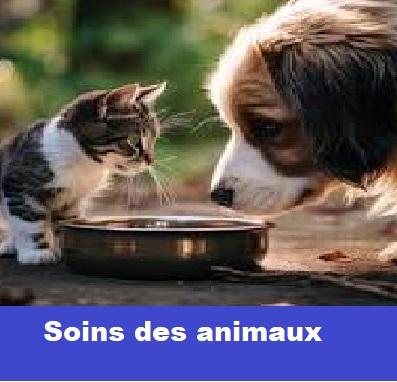 Sans titrexxxxxhuu